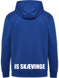 hmlGO 2.0 HOODIE